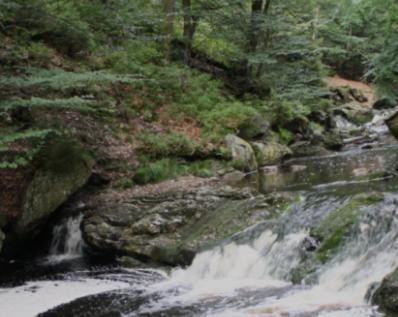 Gite Ardennes Au Coin Du Feu Jacuzzi Sauna Et Nature Jalhay Kültér fotó